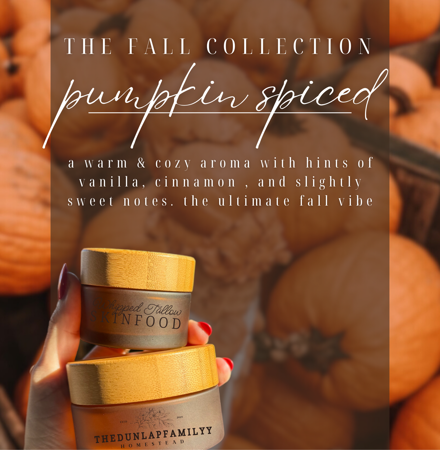 pumpkin spiced whipped tallow